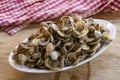 Small clams or telline Royalty Free Stock Photo