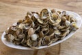 Small clams or telline Royalty Free Stock Photo
