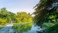 A small clean lake in public park, greenery trees, shrub and bush, green grass lawn in a good care maintenance landscapes Royalty Free Stock Photo