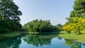 A small clean lake in public park, greenery trees, shrub and bush, green grass lawn in a good care maintenance landscapes Royalty Free Stock Photo