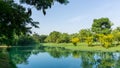 A small clean lake in public park, greenery trees, shrub and bush, green grass lawn in a good care maintenance landscapes