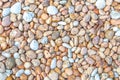 Small clean pebbles or stone or rock in garden. for background textured.