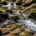 A small clear stream flows over moss covered rocks creating a gentle cascade Royalty Free Stock Photo