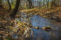 Small clear water stream in the autumn forest