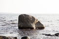 A small cliff in the sea by nature reserve