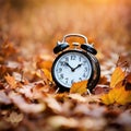 Small Clock In Autumn Leaves