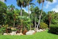 A small cluster of Palm trees in Bayfront park