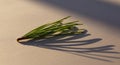 A small cluster of pine needles Royalty Free Stock Photo