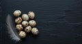 A small cluster of speckled quail eggs and a delicate white feather are arranged on a dark, textured slate background, offering Royalty Free Stock Photo