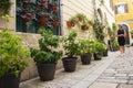 A little cobbles street in a Mediterranean country