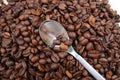 Background with many coffee beans and metal spoon Royalty Free Stock Photo