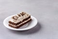 Small Coffee Chocolate Cake on White Plate Grey Background Tasty Beautiful Dessert Chocolate Cake Pastry Copy Space Royalty Free Stock Photo