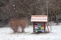 Small colorful beehive in snowfall.