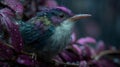 Small Colorful Bird in Purple Foliage During Rain Royalty Free Stock Photo