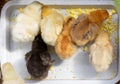 small colorful chicks eat a boiled egg in a feeder, top view.