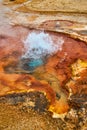 Small And Colorful Yellowstone Geyser Bubbling In Spring