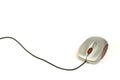 Small computer mouse Royalty Free Stock Photo