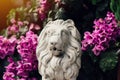 Small concrete sculpture of lion among flowers