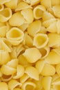 Small cooked shell pasta background