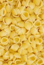 Small cooked shell pasta background