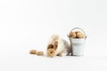 Small cooked snacks in an iron retro bucket. Proper nutrition. On white background.