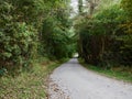 Small country road with trees on the sides