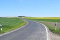 small country road between yellow canola fields in the Eifel