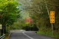 The small countryside road in Taiwan Royalty Free Stock Photo