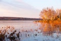 Small cove in the St. Lawrence River seen during the golden hour in a spring early morning Royalty Free Stock Photo