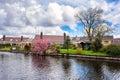 Small cozy dutch village at springtime, beautiful daytime countryside landscape, Netherlands Royalty Free Stock Photo