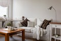 Small cozy living room Royalty Free Stock Photo