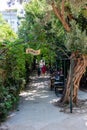 A small cozy outdoor cafe in the National Garden in Athens Royalty Free Stock Photo