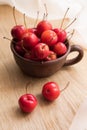 Small crab apples in the cup. Wild apples strewn around the cup.