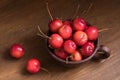 Small crab apples in the cup. Wild apples strewn around the cup. Royalty Free Stock Photo