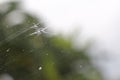 Small crack and dust on car windscreen ,scratch from windshield wiper on glass Royalty Free Stock Photo