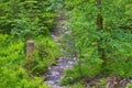 Small creak flowing through the stones in the Thuringian Forest, Germany