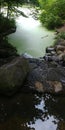 Small creak leading to pond at Crotona park nyc