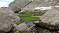 Small creak meandering in the mountains surrounded by green grass and rocks