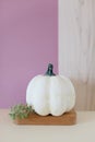 Small cream pumpkin on a pink background.