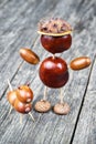 Small creature made of chestnuts and acorns. Royalty Free Stock Photo