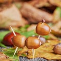 Small creature made of chestnuts and acorns Royalty Free Stock Photo