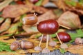 Small creature made of chestnuts and acorns