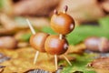 Small creature made of chestnuts and acorns Royalty Free Stock Photo