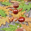 Small creatures made of chestnuts and acorns Royalty Free Stock Photo