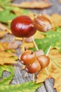 Small creatures made of chestnuts and acorns Royalty Free Stock Photo