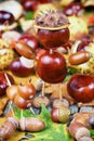 Small creatures made of chestnuts and acorns Royalty Free Stock Photo