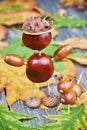 Small creatures made of chestnuts and acorns Royalty Free Stock Photo