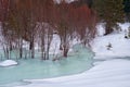 Small creek in Altai village Ust\'-Lebed\' in winter season Royalty Free Stock Photo