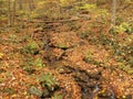 Small Creek in Autumn Royalty Free Stock Photo