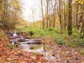 Small creek in autumn near Thuisbrunn in the Franconian Switzerland Royalty Free Stock Photo